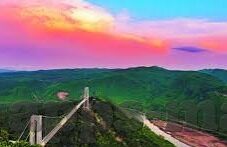 澳门葡京赌场鸡价钱-澳门葡京赌场鸡价钱，揭秘背后的文化、经济与社会现象