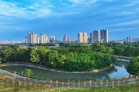 皇室战争下载九游版-皇室战争下载九游版，体验战争与策略的乐趣