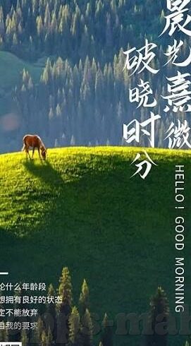 即使竞猜足球比分直播-即使竞猜足球比分直播，一场心跳与智慧的双重博弈