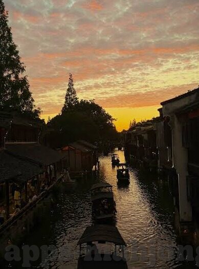 新浪体育 足球比分-新浪体育足球比分，球迷的实时战场，激情与数据的交响曲